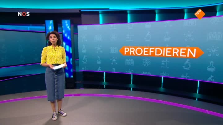 Het NOS Jeugdjournaal | NOS Jeugdjournaal