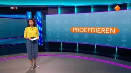 Het NOS Jeugdjournaal | NOS Jeugdjournaal