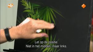 Tropische zangvogel