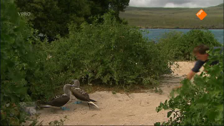 Freeks Wilde Wereld | Dieren die niet vluchten