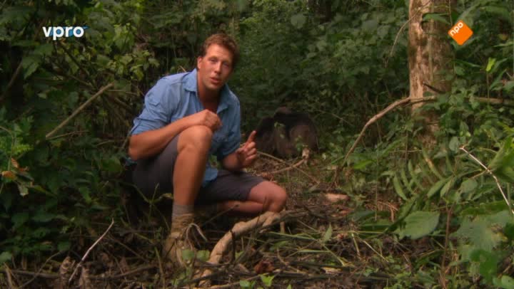 Freek in het wild | Chimpansees volgen