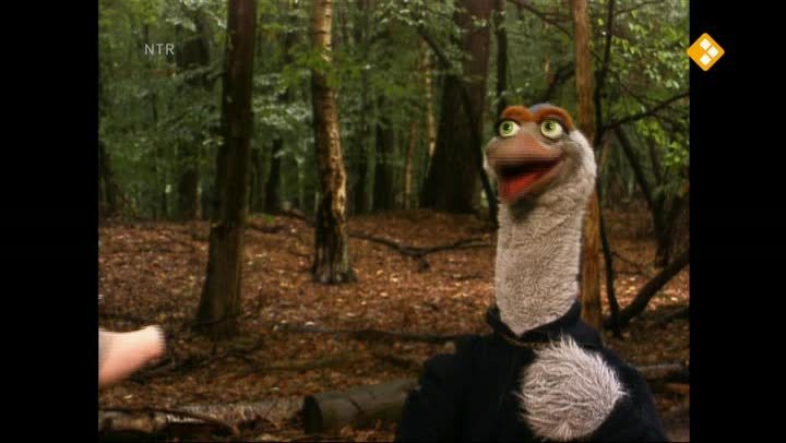 Koekeloere