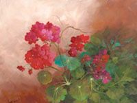 Geraniums