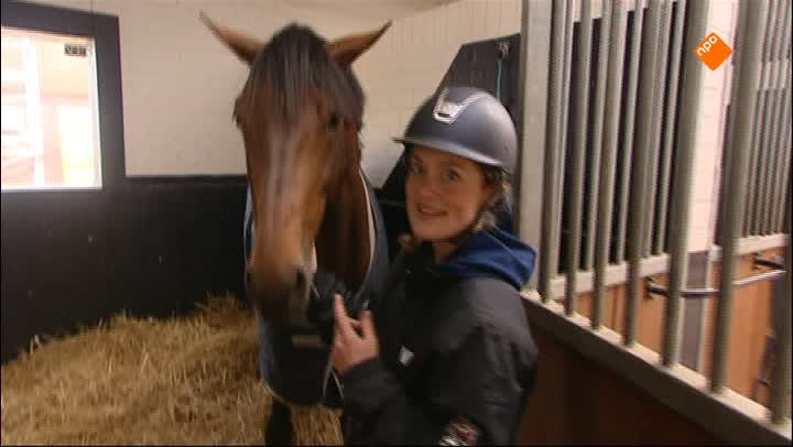 Het Klokhuis | Top springpaard