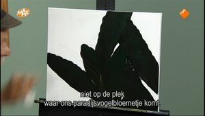 Tropisch Paradijs