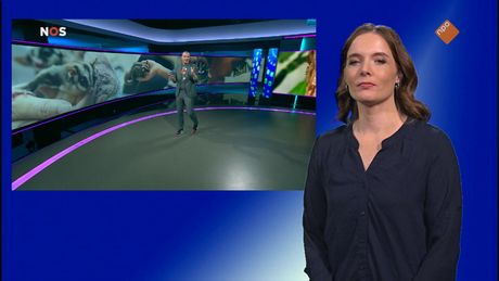 NOS Jeugdjournaal met gebarentaal