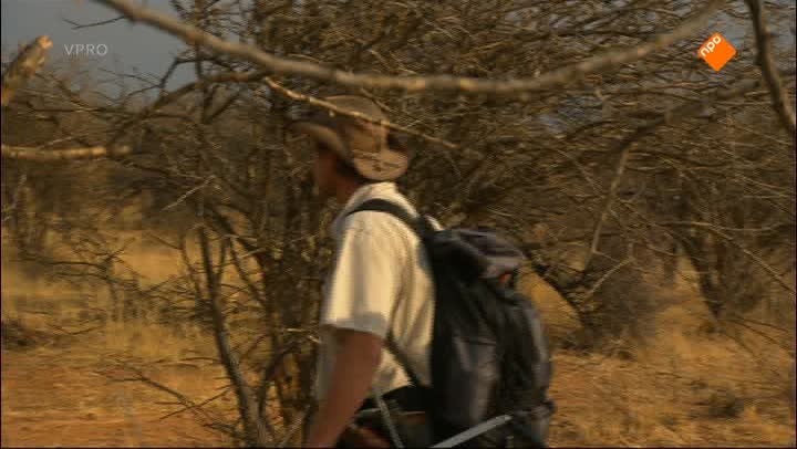 Freeks Wilde Wereld | Cheetah