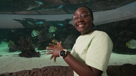 Het Klokhuis | Zeeaquarium