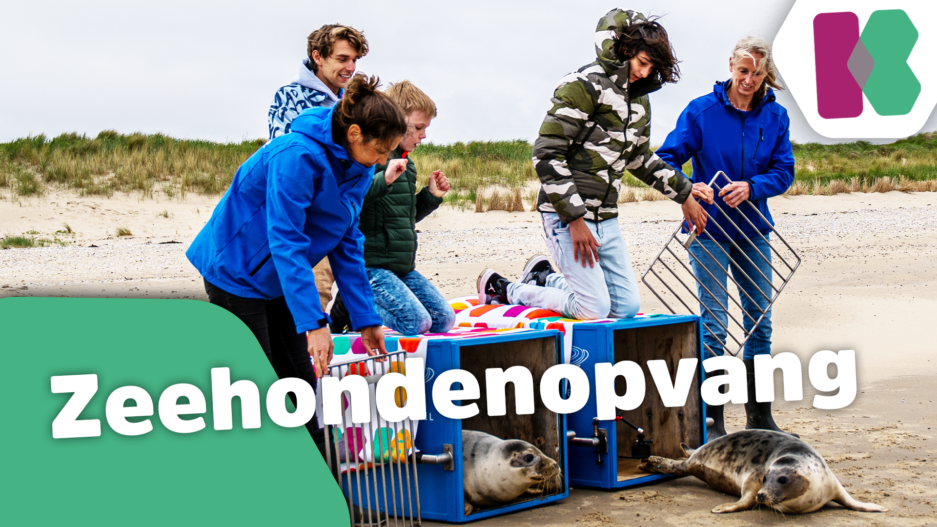 Help de walvis - Kinderen voor Kinderen helpt mee