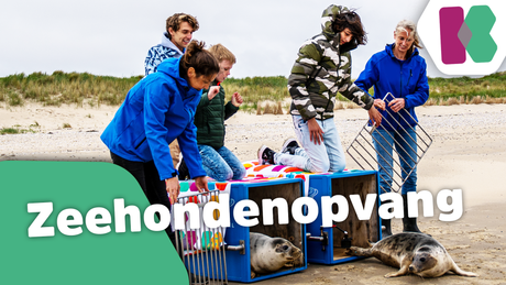 Help de walvis - Kinderen voor Kinderen helpt mee