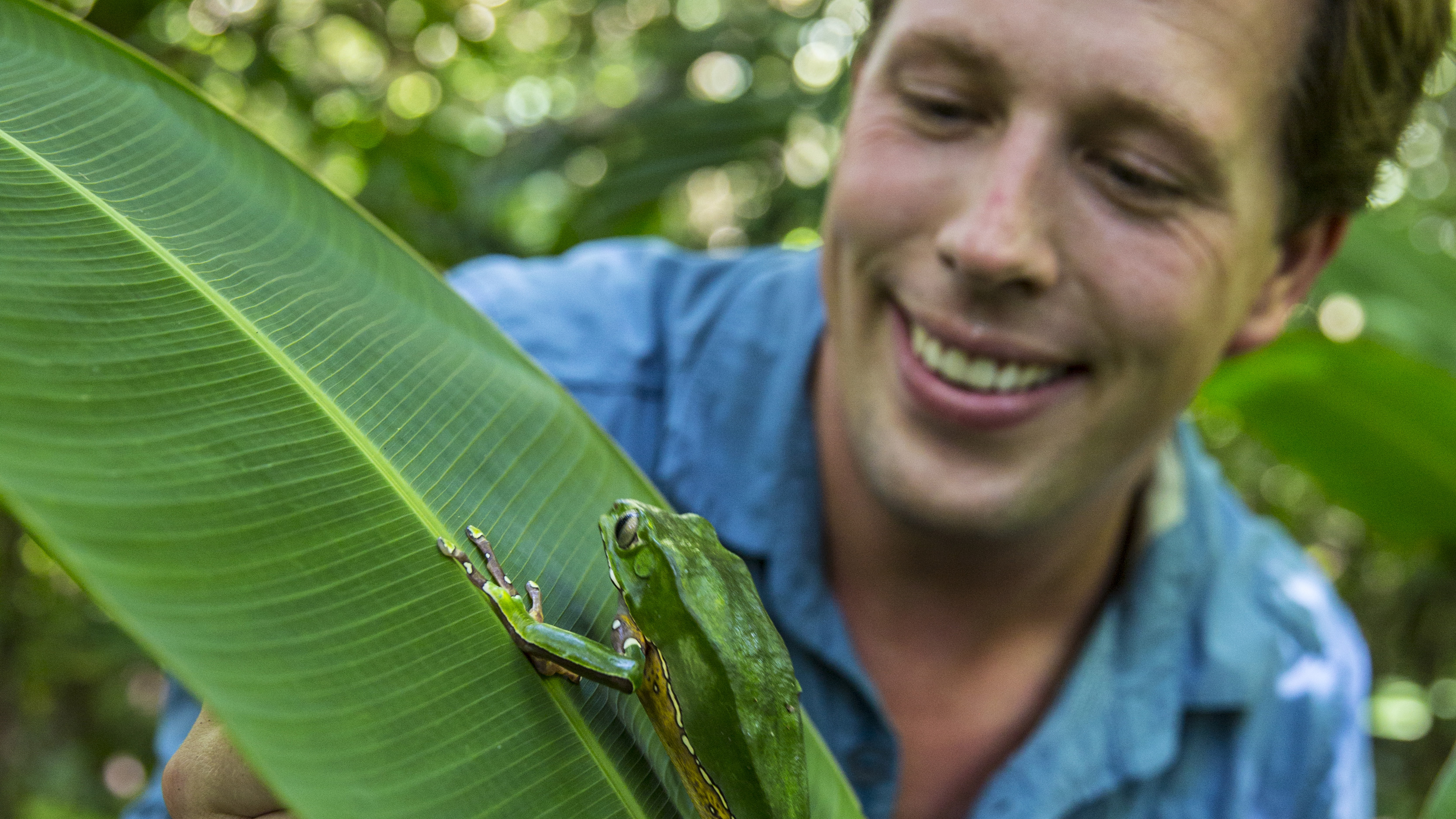 Freeks Wilde Wereld | Avontuur in de rimboe