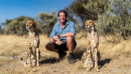 Freeks Wilde Wereld | Kattenkwaad en apenstreken