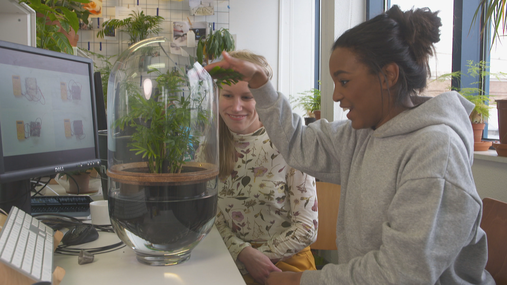 Het Klokhuis | Energie uit planten