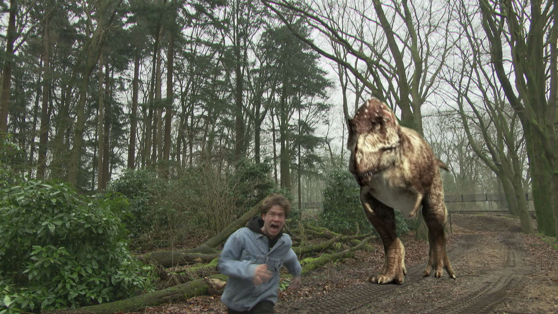 Het Klokhuis | T.rex