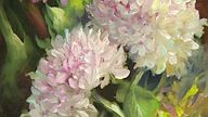 Hortensia