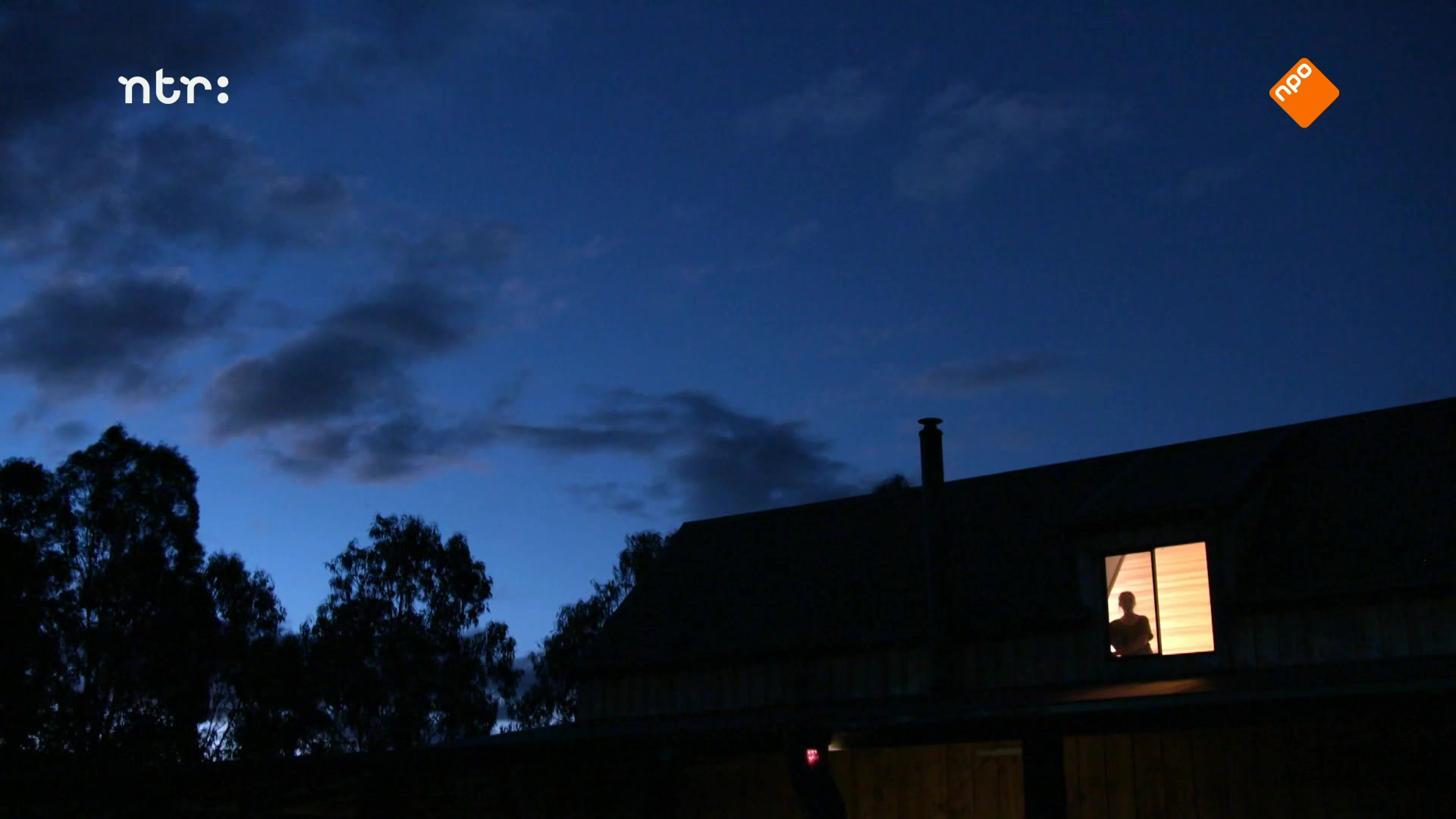 DierenDetectives | Dromedaris Humphrey