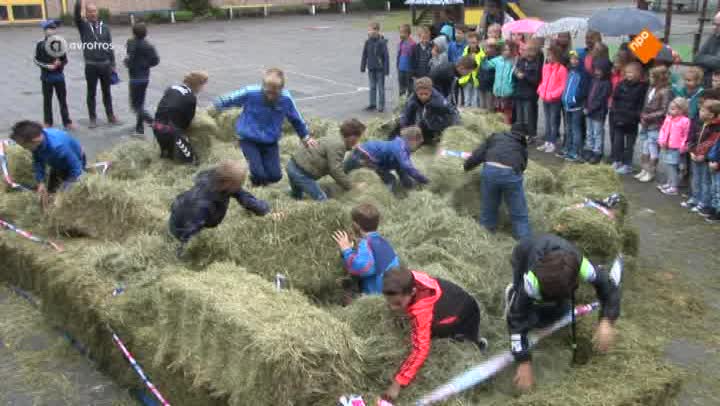 Zappsport | Zappsport compilatie