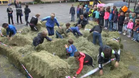Zappsport | Zappsport compilatie
