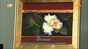 Orchidee van de tropen