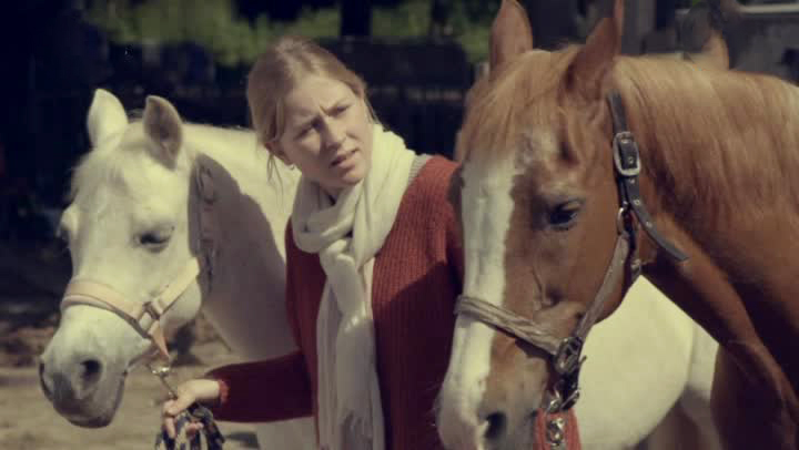 De Vloek van Manege Pegasus