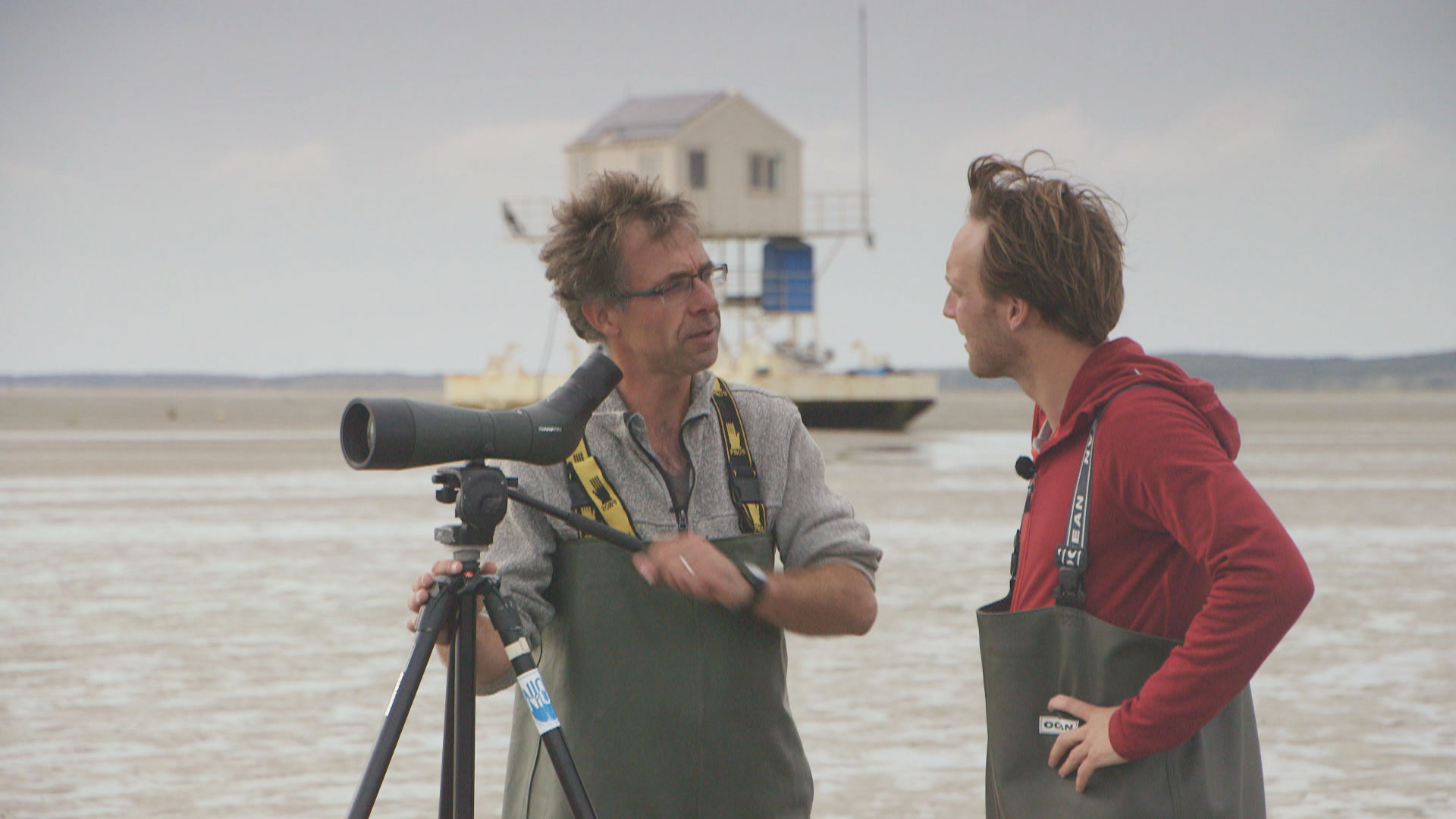Het Klokhuis | Werelderfgoed: Waddenzee