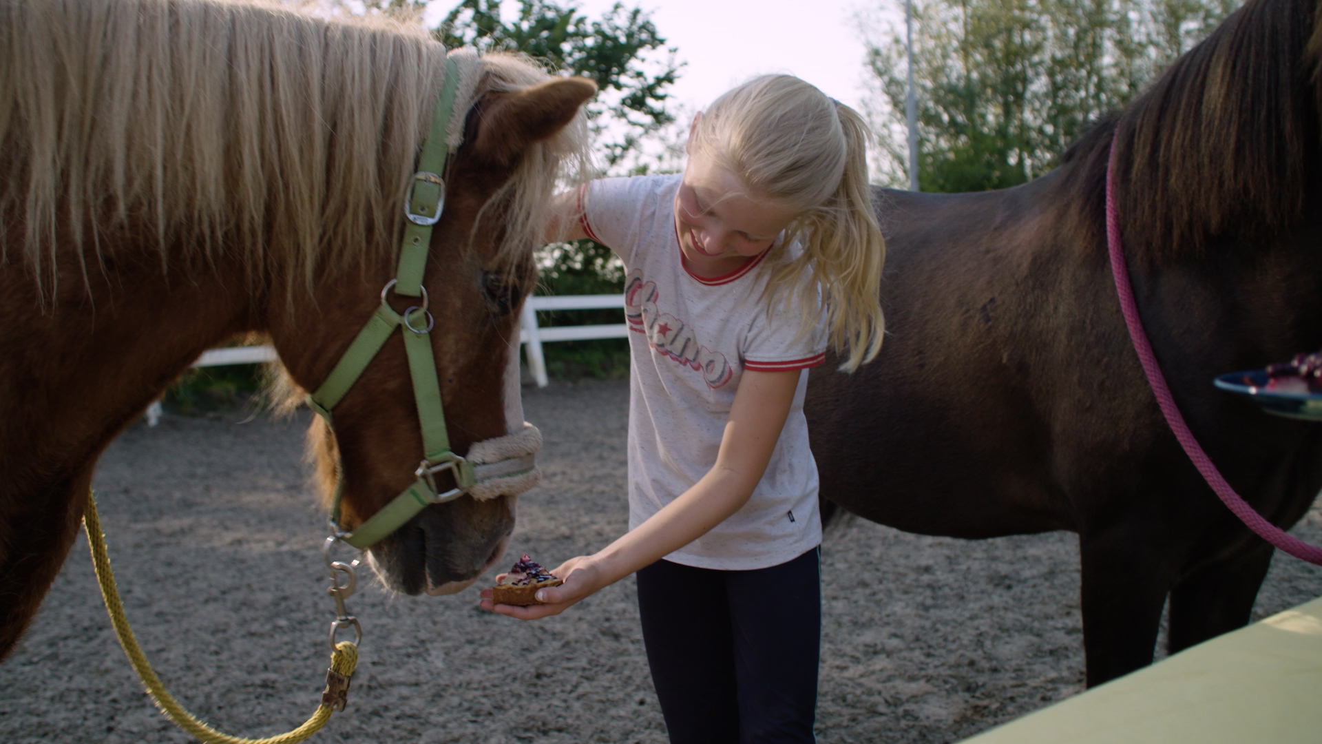 Koken met konijnen | Verhuizende pony's