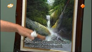 Waterval in het Bos