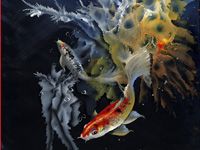 23. Geheimzinnige Koi