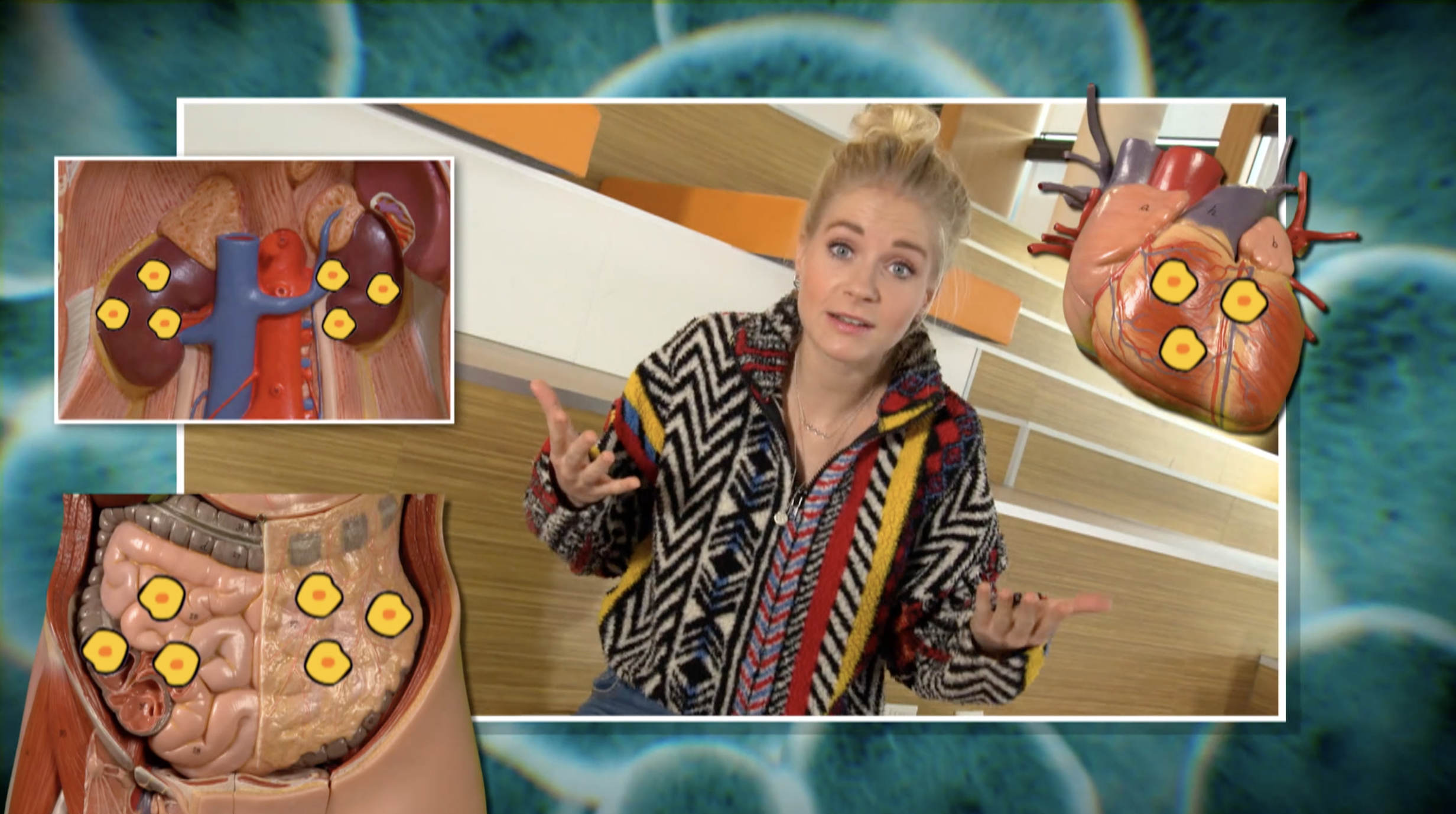 Het Klokhuis | Chemotherapie