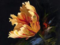 18. Rembrandt tulp