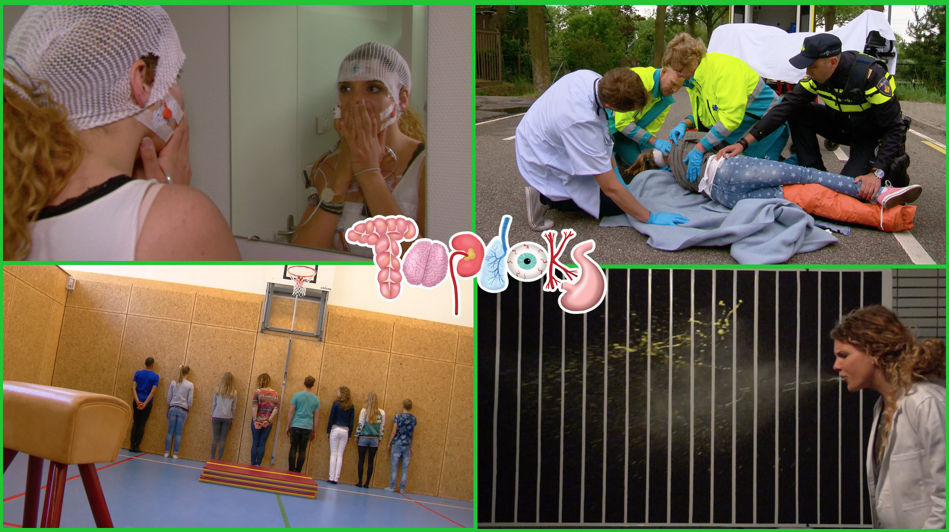 Topdoks | Zappbaas voor 1 dag: Topdoks