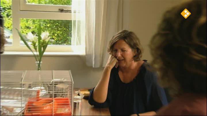 Proefdier | Stijn & hamster