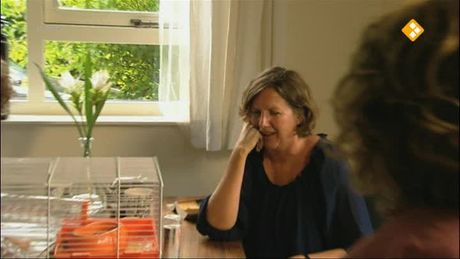 Proefdier | Stijn & hamster