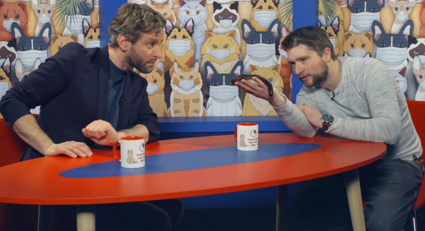 Kwartier van het dier - the winterdip edition