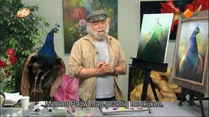 Mooi als een pauw