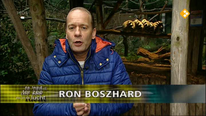 Te land, ter zee en in de lucht