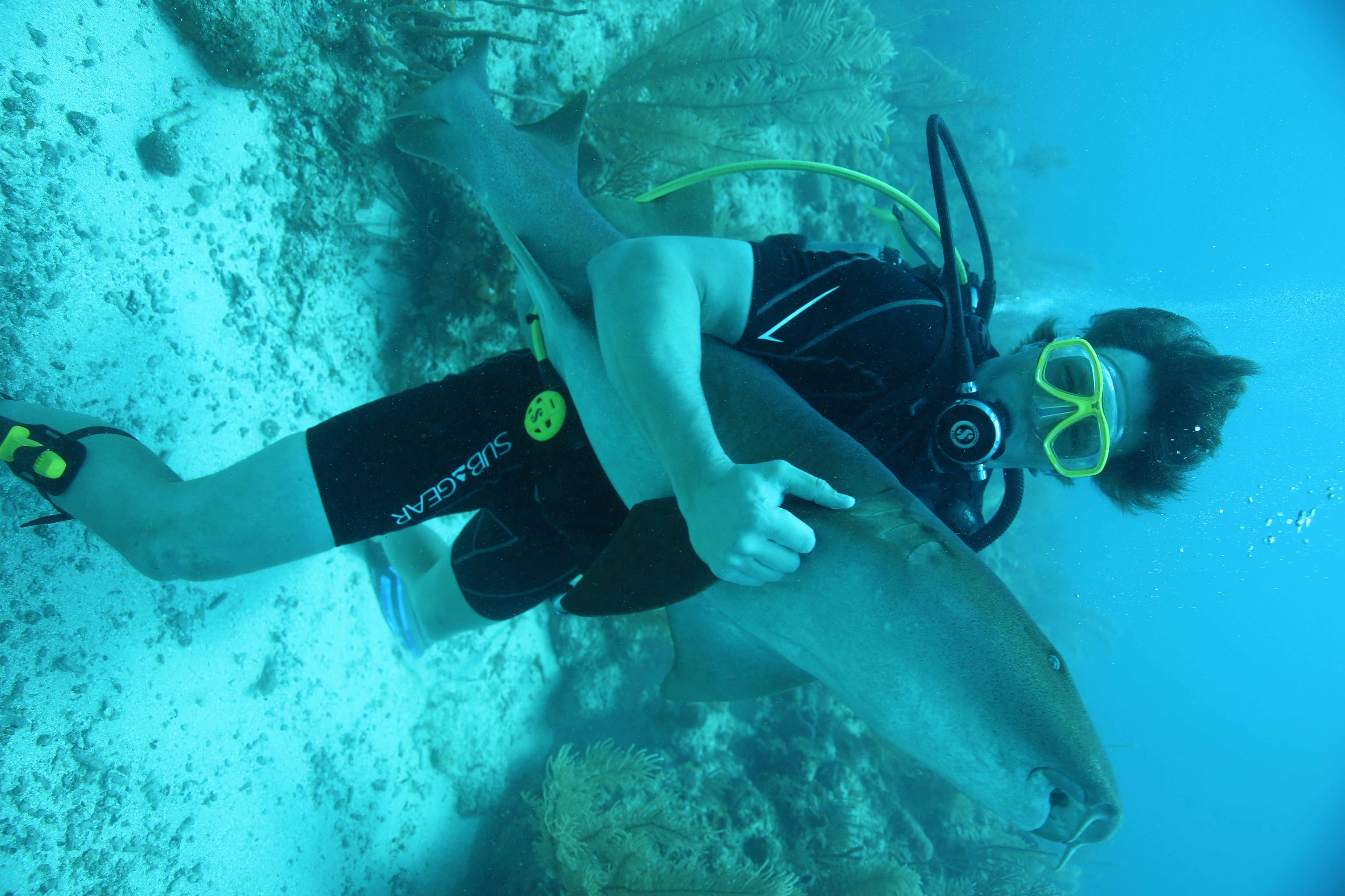 Freeks Wilde Wereld | Belize - Reuzen van de zee