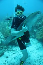 Freeks Wilde Wereld | Belize - Reuzen van de zee