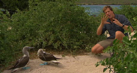 Freeks Wilde Wereld | Dieren die niet vluchten