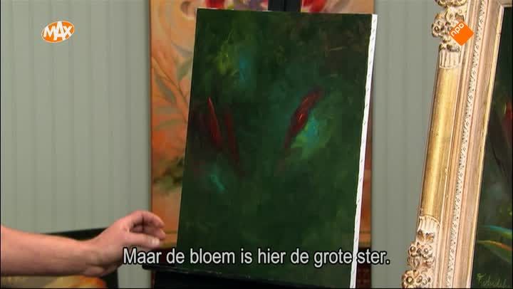 Bromelia