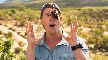 Freeks Wilde Wereld | Monsters van Mexico