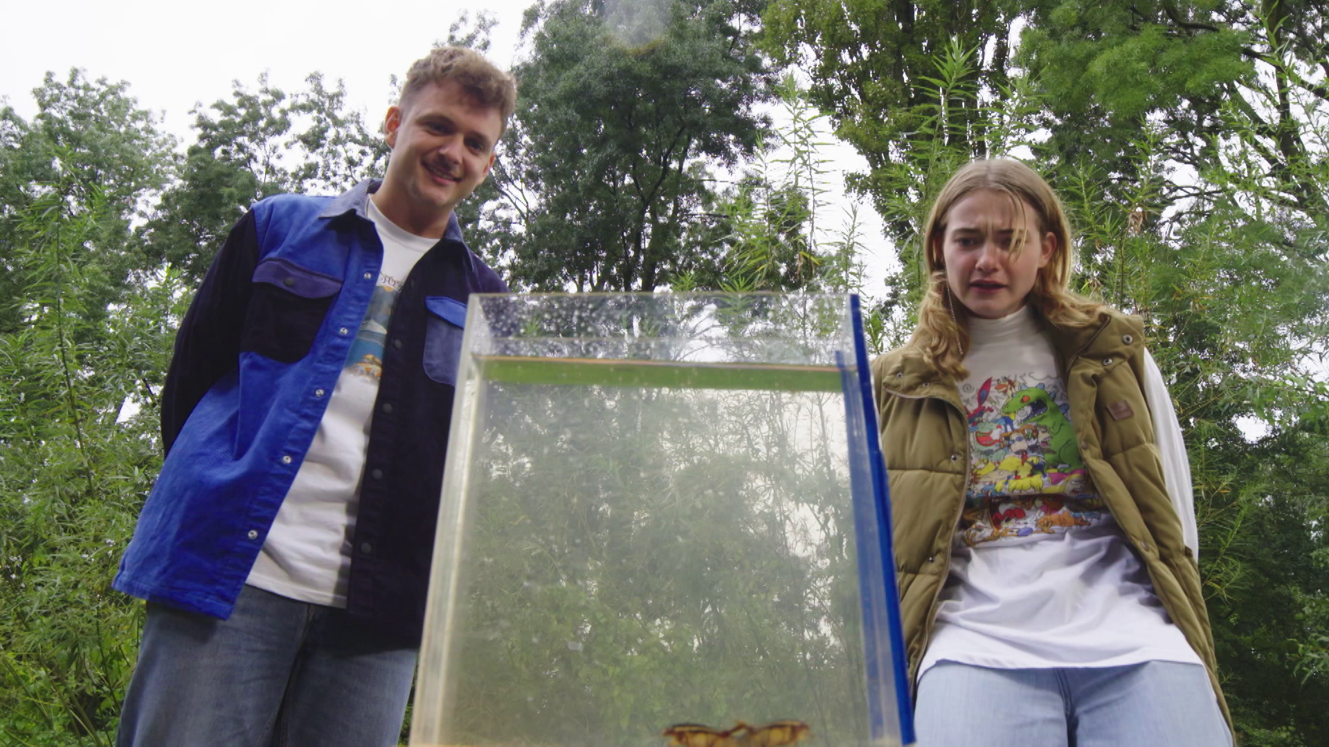 Steken en Prikken | De geelgerande waterroofkever
