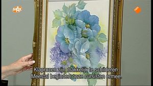 Blauwe klaprozen