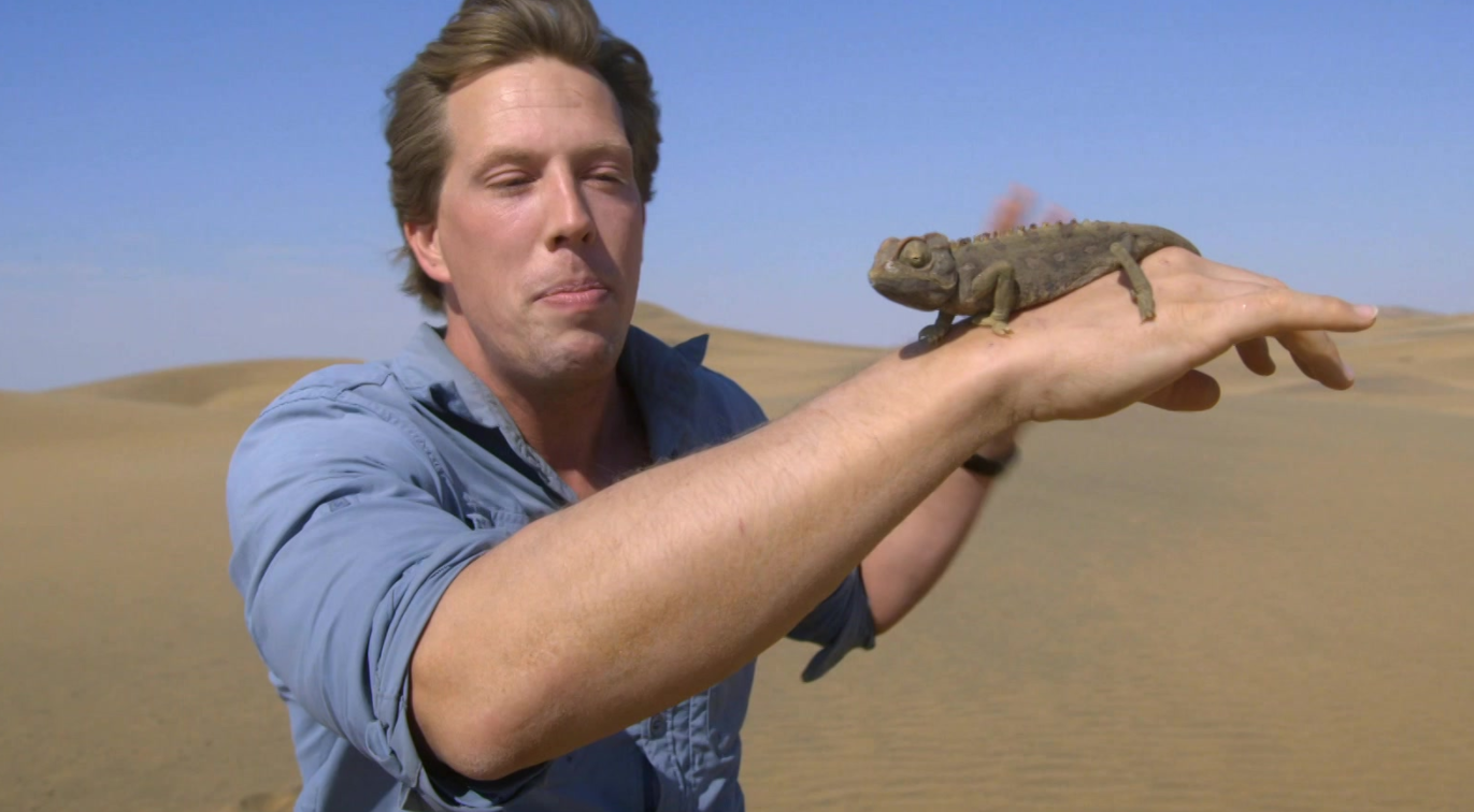Freeks Wilde Wereld | Zandlopers