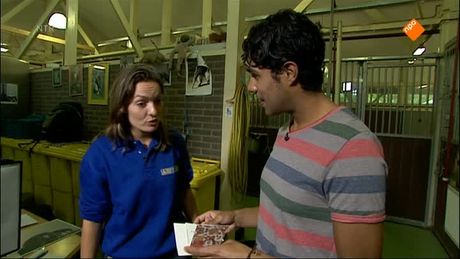 Het Klokhuis | Miereneter