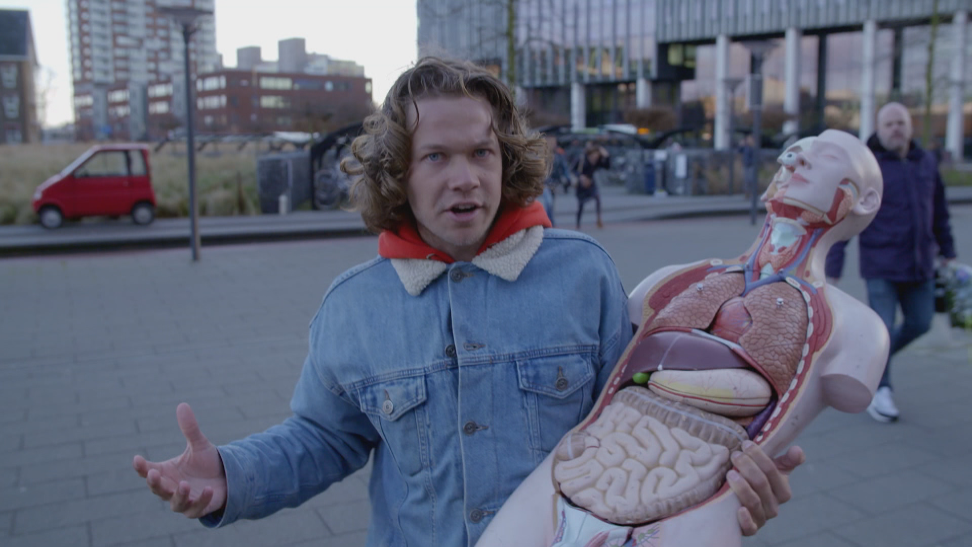 Het Klokhuis | Mini-organen