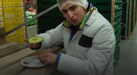 Het Klokhuis | Avocado's rijpen