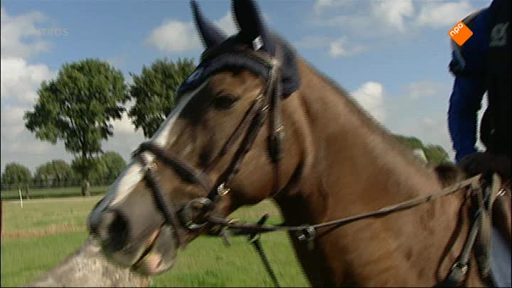 Zappsport | Hellup eventing