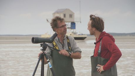 Het Klokhuis | Werelderfgoed: Waddenzee