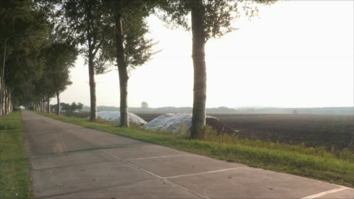 De Zonnebloem